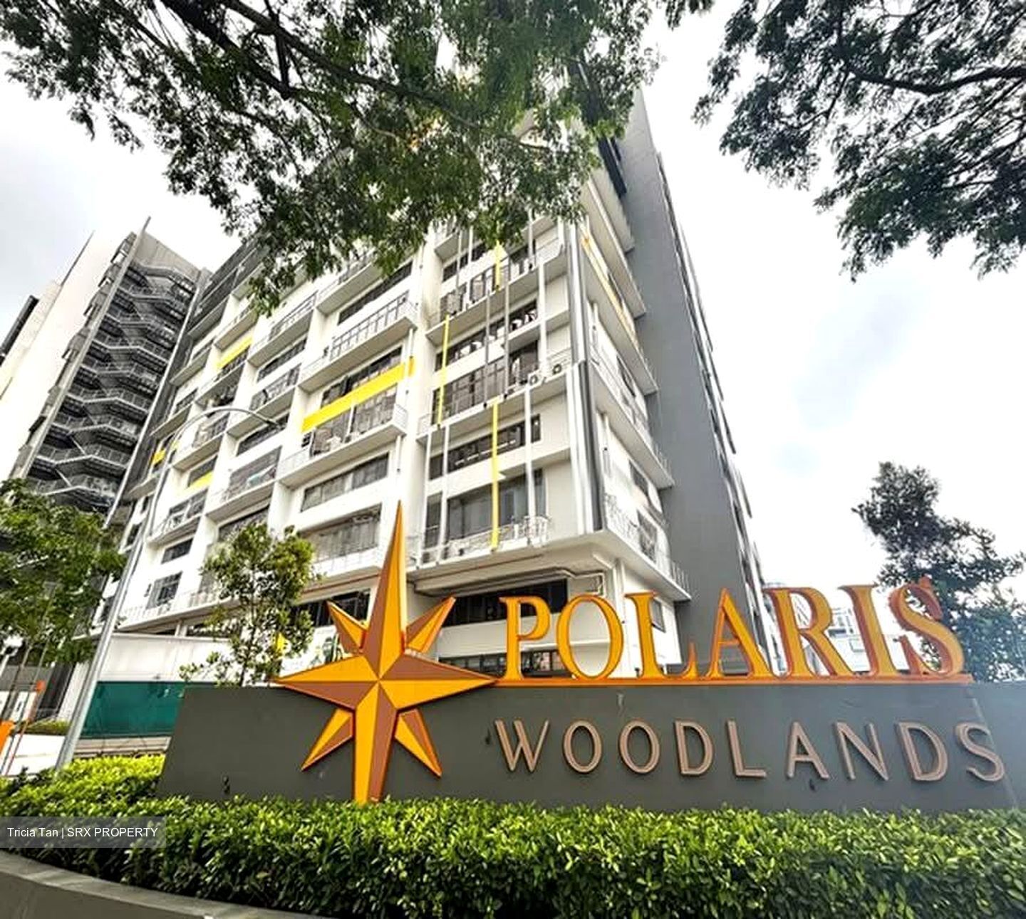 POLARIS @ WOODLANDS (D25), Factory #563720551